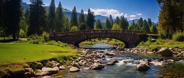 Photo a bridge over a stream in the middle of a forest