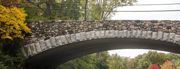 Foto ponte all'alba che collega i mondi con eleganza architettonica e bellezza tranquilla