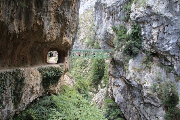 Un ponte che attraversa di muro in muro nel percorso delle cure nelle vette d'europa