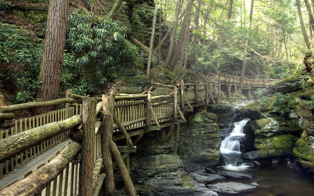 Photo a bridge that has a fence on it that says  the bridge