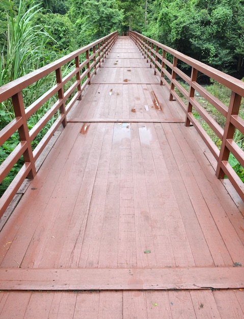 ジャングルの橋、カオヤイ国立公園、タイ