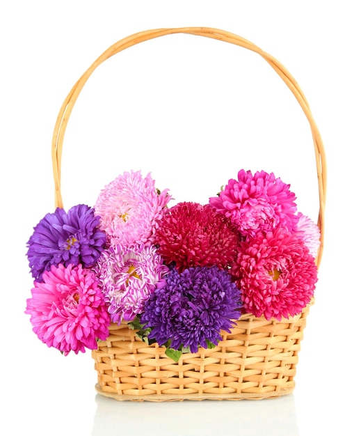 Bright aster flowers in basket isolated on white