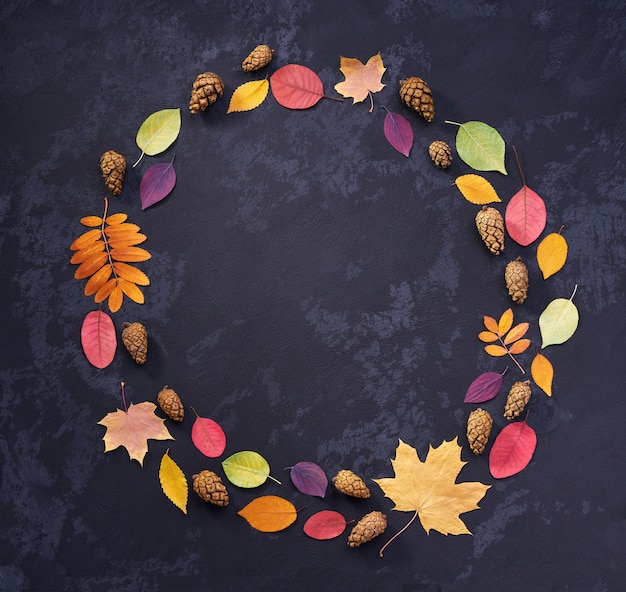 Bright autumn leaves and pine cones on a black stone