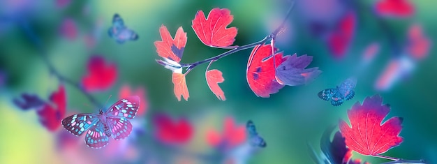 Bright autumn summer natural background colorful leaves and\
butterflies in flight in forest magical nature of autumn banner\
format