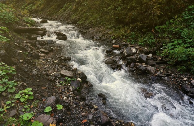 A bright blue river flowing through forest as the sun begins to set in a hidden park along the