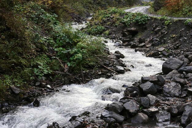 a bright blue river flowing through forest as the sun begins to set in a hidden park along the