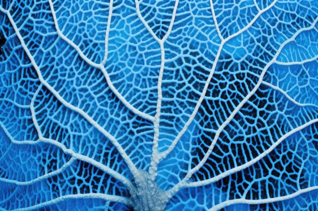 Bright blue sea fan coral closeup