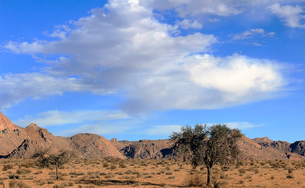 The bright blue sky above the mountains