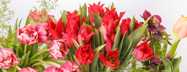 Bright bouquets of tulips, festive spring composition on a white background. Birthday, Mother's, Valentines, Women's, Wedding Day concept.