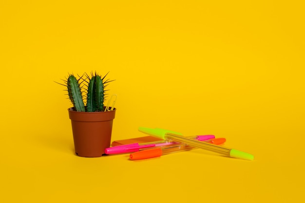 Bright briefpapier pennen met vellen voor het schrijven en een cactus in een pot. Terug naar school. Zijaanzicht.