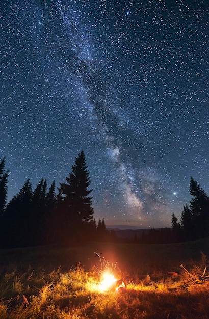 Bright campfire in night forest starry sky