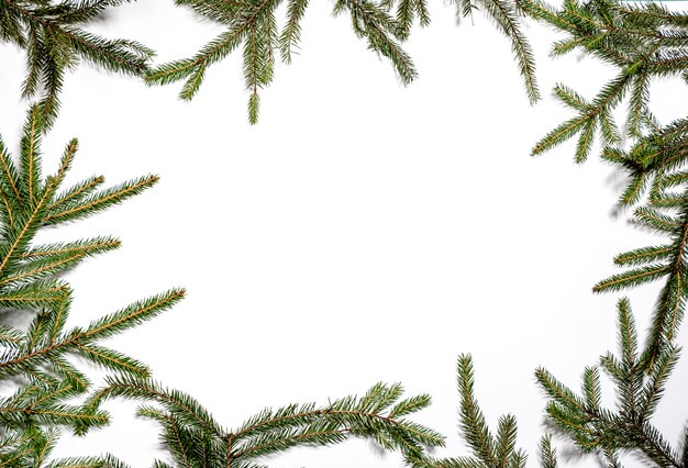흰색에 가문비 나무로 만든 밝은 크리스마스 프레임.