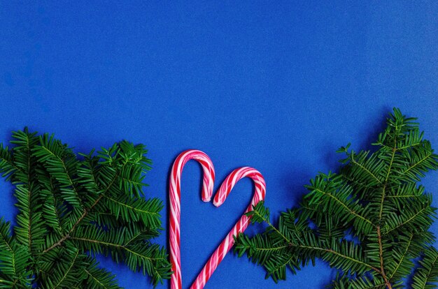 Bright christmas or new year blue background with fir branches