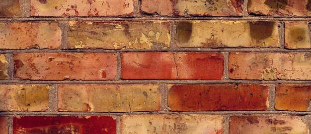 Bright color brick wall texture or background