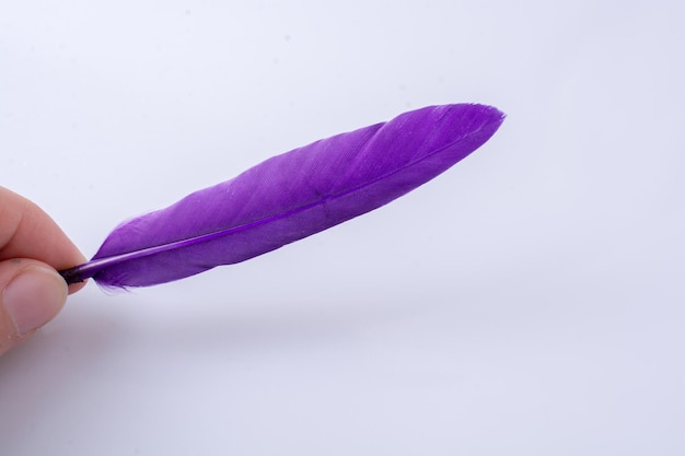 Bright colored feather in hand on white background