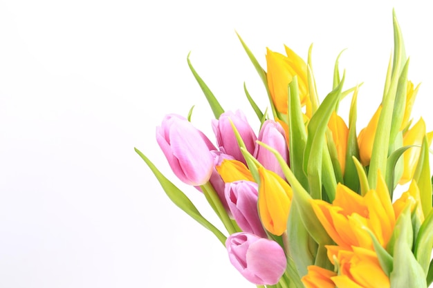 Bright colorful bouquet of tulips spring colorful flowers isolated on white background