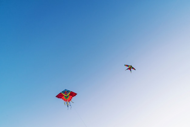 Bright colorful kite flying in the blue clear sky