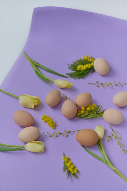 Bright composition of chiken eggs and yellow tulips on a purple background