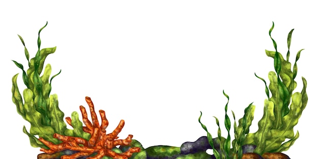 Яркая композиция с подводным миром Красные коралловые водоросли и каменная скала Цифровая иллюстрация на белом фоне Для печати наклеек, постеров, открыток, принтов