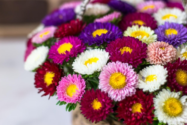 Bright cute bouquet of chrysanthemums Bouquet on a white background