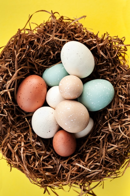 Bright Easter Holiday eggs in the nest on yellow surface, spring celebration