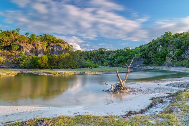 The bright estuary of the beach wins on the island of sabu Indonesia