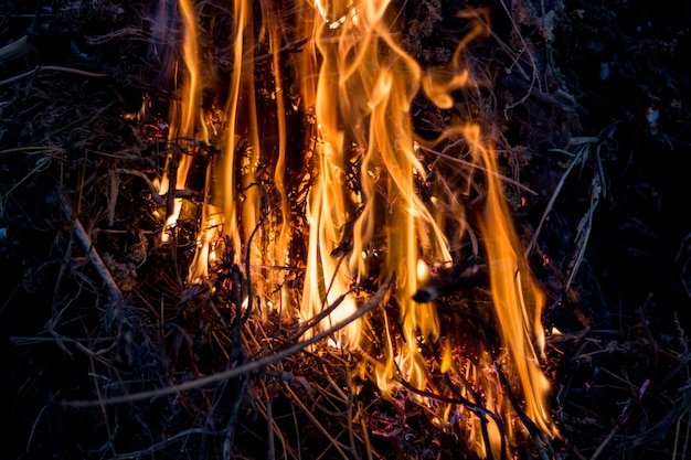 Bright fire in the nature at night