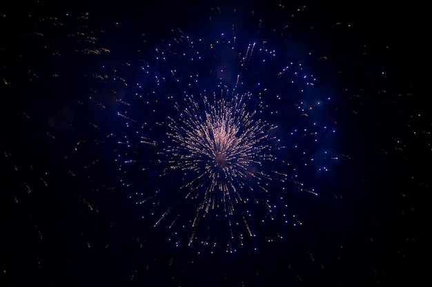 夜空を背景に、中央がオレンジ色に光り、側面に青い火花が散る明るい花火