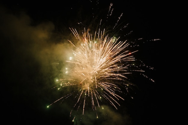 Bright fireworks explode in the night sky