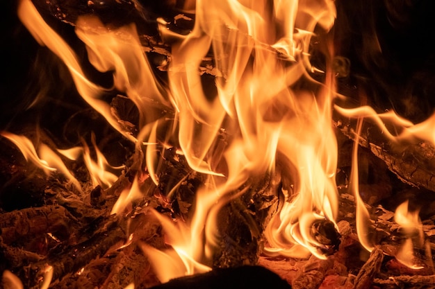 Bright flames of a forest fire Dangerous fire closeup