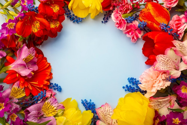 Bright flowers on a blue background top view