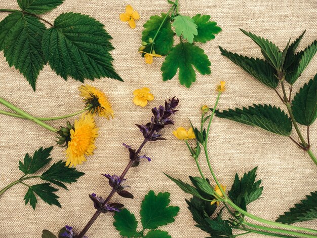 Bright flowers lying on the table. close-up, no people,\
texture. congratulations for family, relatives, friends and\
colleagues