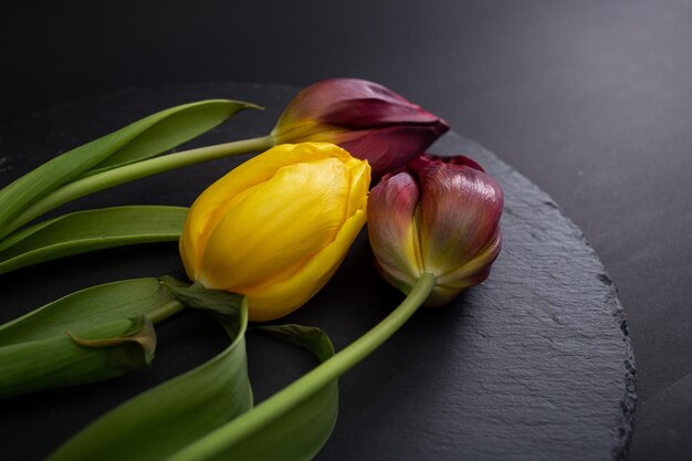 Bright flowers macro shot on a black background