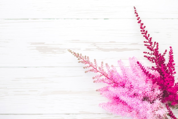 Bright fresh red and pink flowers on a white wooden background