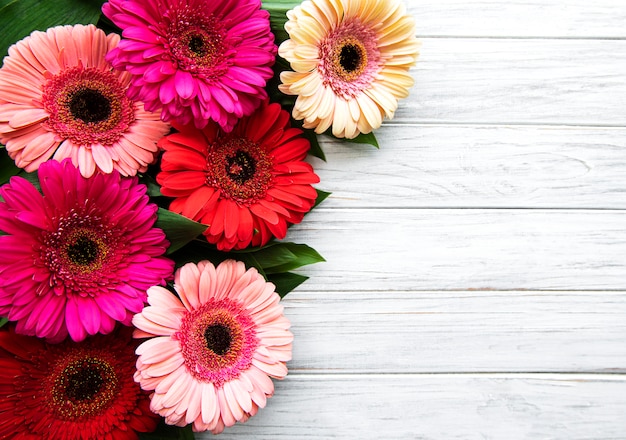 Bright gerbera flowers on a white wooden background