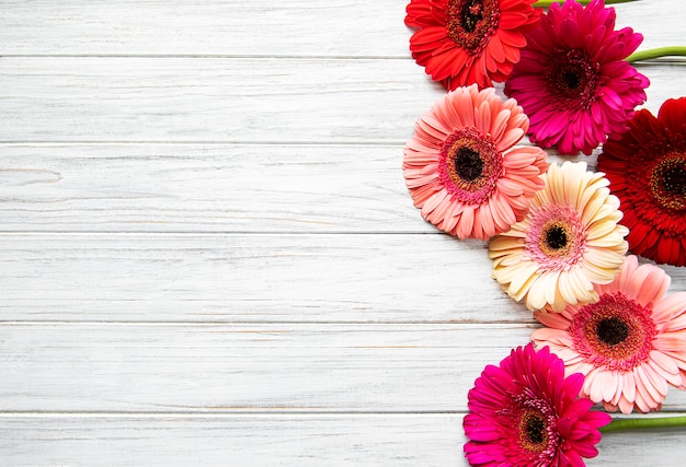 Bright gerbera flowers on a white wooden background