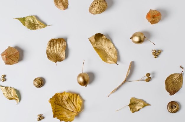 Bright golden autumn leaves, wild apples, and physalis flowers on a white background.