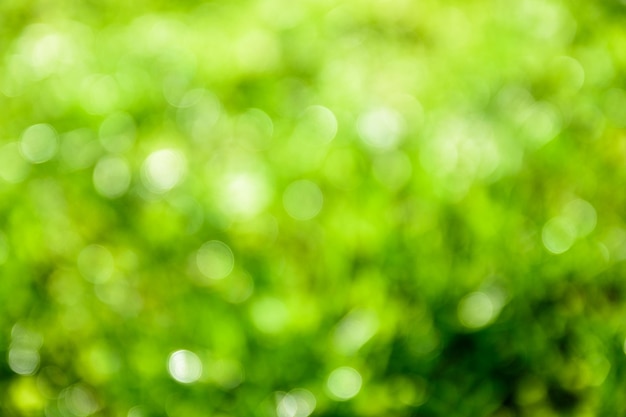 Bright green bokeh natural background