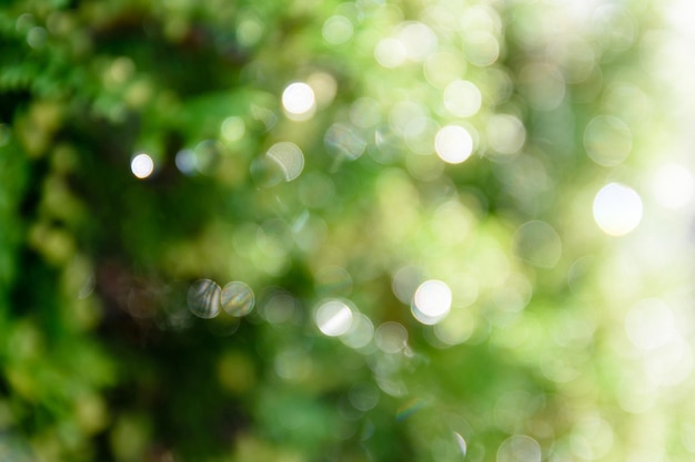 Bright green bokeh natural background