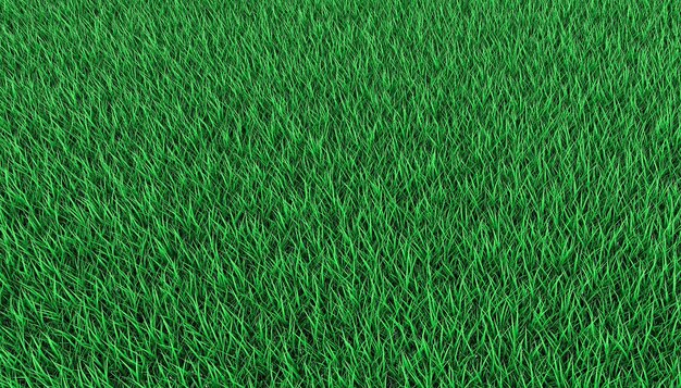 Bright green lawn. 3d illustration