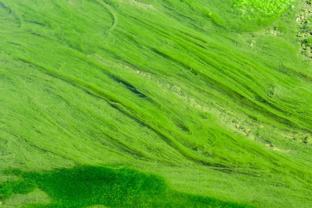 Bright green mud closeup Acid color green background