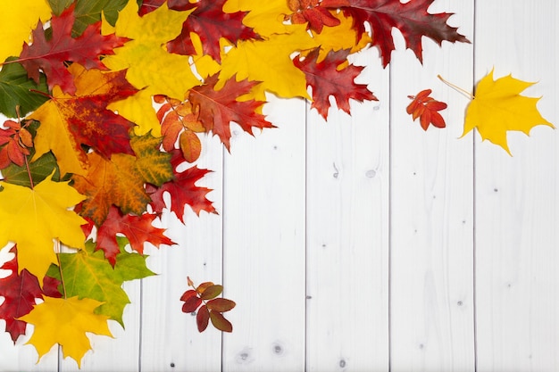 明るい緑、黄色、オレンジ、赤の紅葉、白い木製の背景とテキストの空の場所