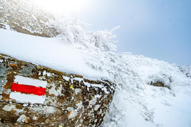 Bright hiking trail marking on frozen white stone in sunny mountains