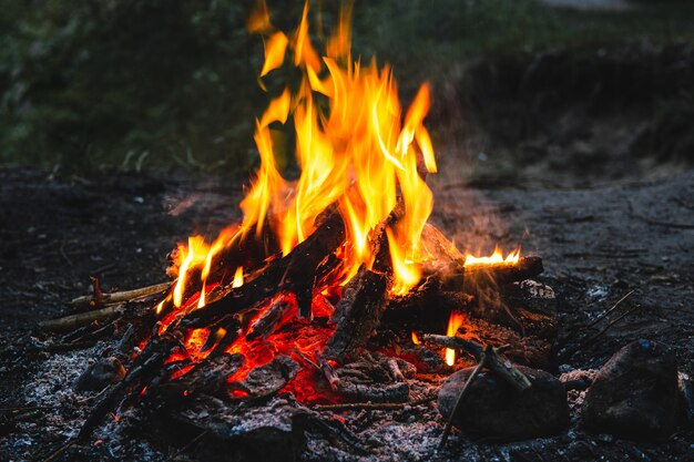 Bright hot campfire on a dark night