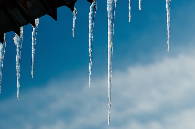 Photo bright icicles in the sunlight. spring blue sky