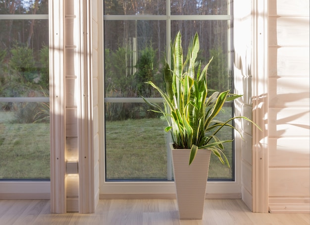 Bright interior of the room in wooden house with a large window overlooking the autumn courtyard. Home and garden, fall concept.