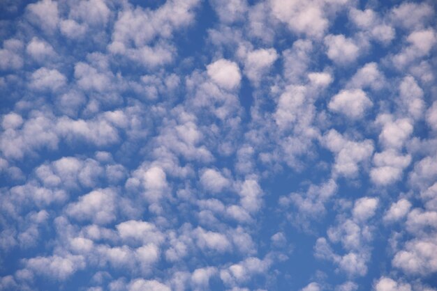 青い澄んだ空に白いふくらんでいる雲の明るい風景が広がっています。