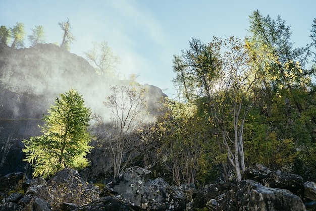 金色の日光の下で秋の木々と岩山の壁の背景に滝から滴の水雲と明るい風景。金の日差しの中で黄色の木の上の岩の近くの美しい水雲