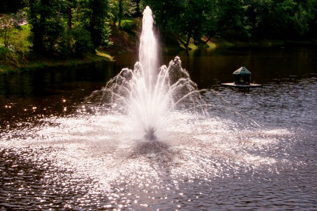 Photo bright light fountain in the lake against the background of trees