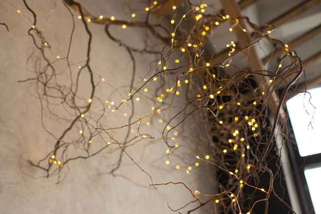 Bright lights on a hanging branch in the interior